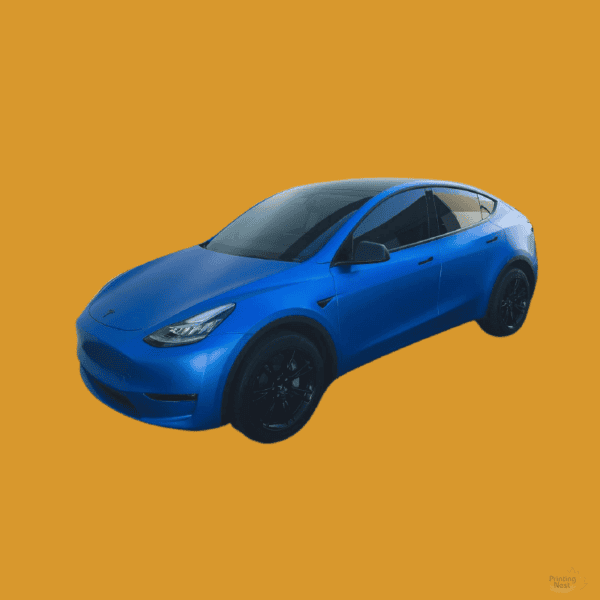 Custom Printed 3M Car Wrap Printing Nest