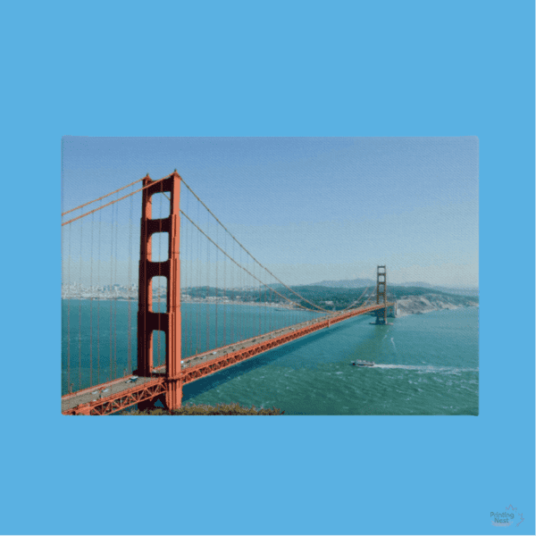 Orange County Custom Mounted Canvas Printing Nest